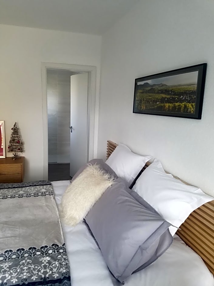 Les mésanges de l'Ill