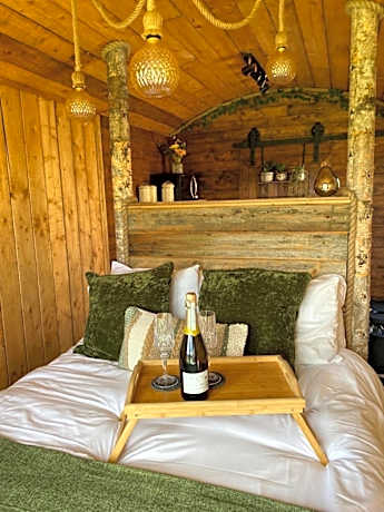 Ivy Shepherds Hut