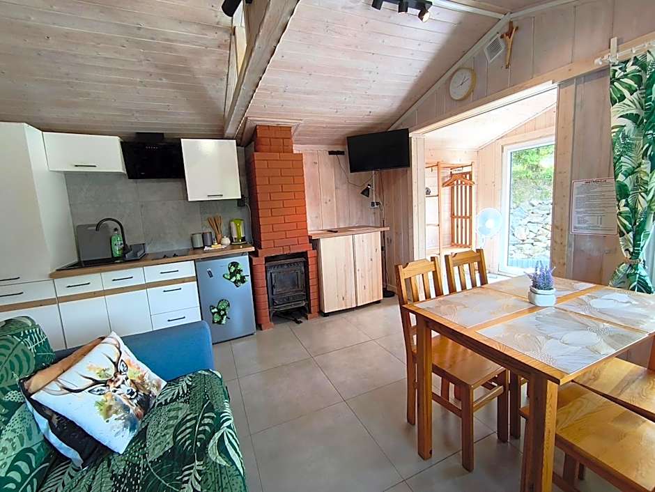 Domki Bieszczadzki Czar Rodzinny 661-850-410