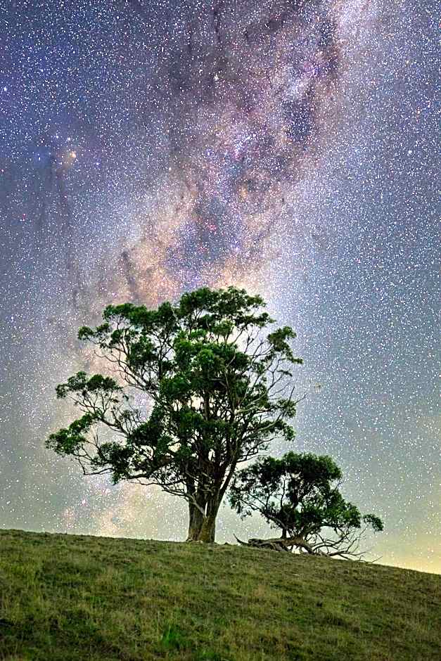 Old Coach Road Estate