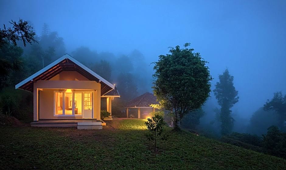 After the Rains - Rainforest Lodge