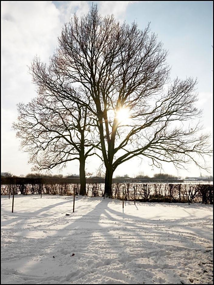 Rooseboom22