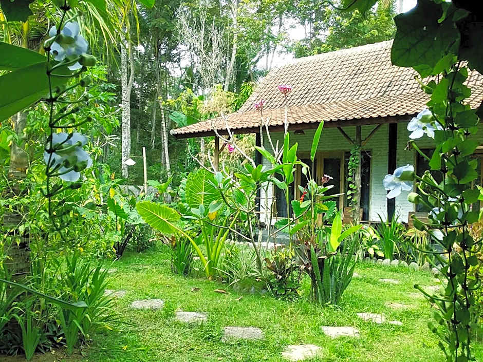 Jungle House - surf & stay