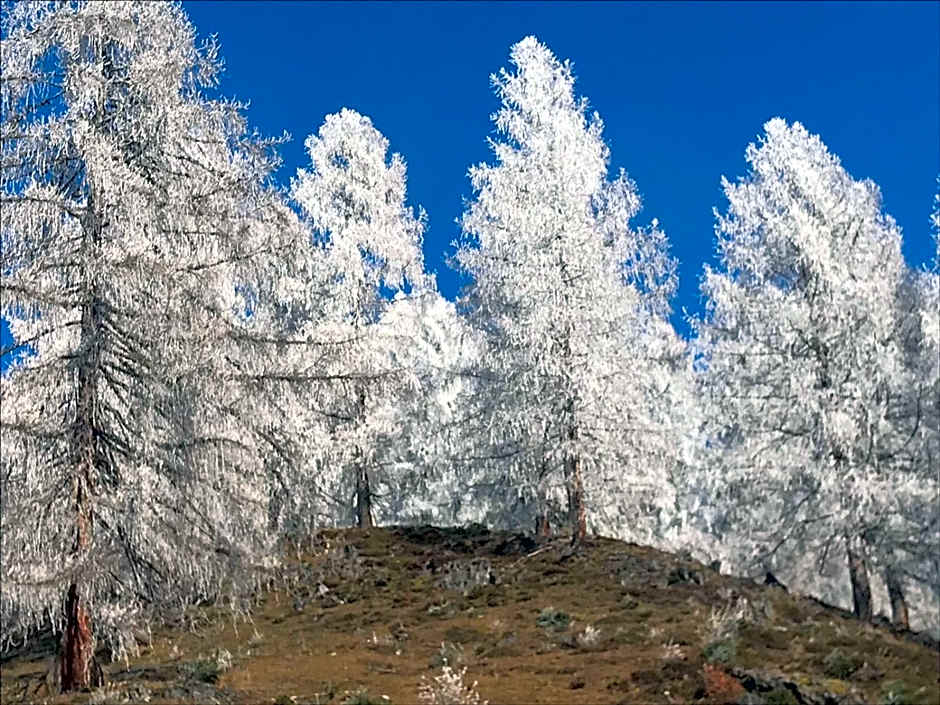 Boutique Hotel Alpenhof