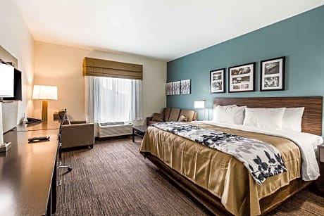 1 King Bed, Suite, Nonsmoking