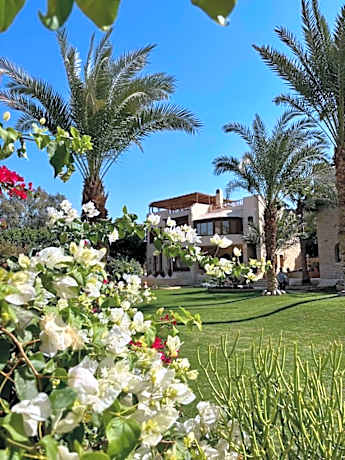 palm shadow resort