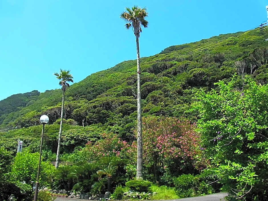 Misaki Kanko Hotel