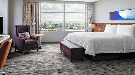 Hilton Garden Inn Chicago McCormick Place