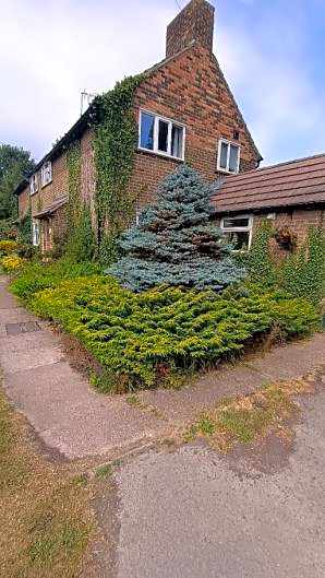 The Shoulder at Hardstoft