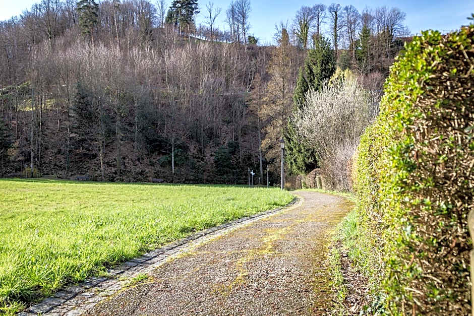 living TIMELESS - Adler Apartments Sasbachwalden