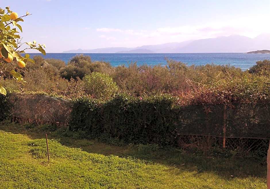 Mirabella Apartments