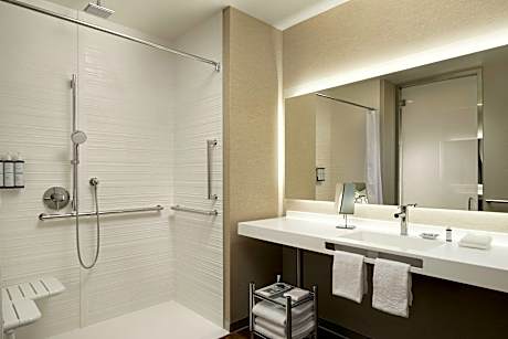 1 Bedroom Junior Suite, 1 King