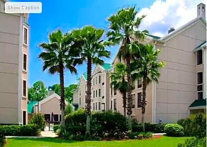 Hampton Inn & Suites Tampa-North