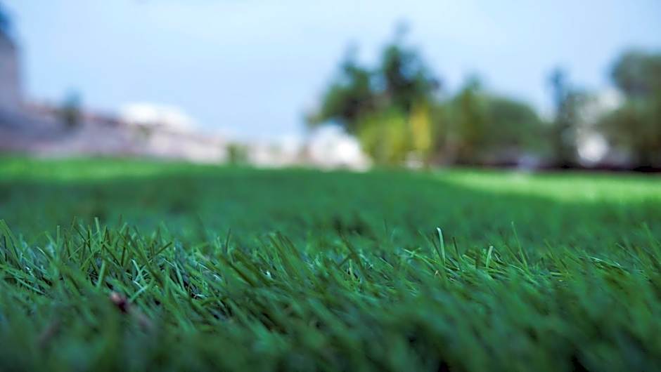 B&b I Trulli dei Desideri