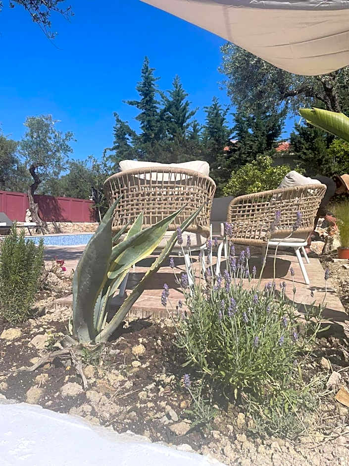 Nissi Collection Rooms