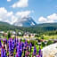 GOTTHARD - FINE LIVING APARTMENTS