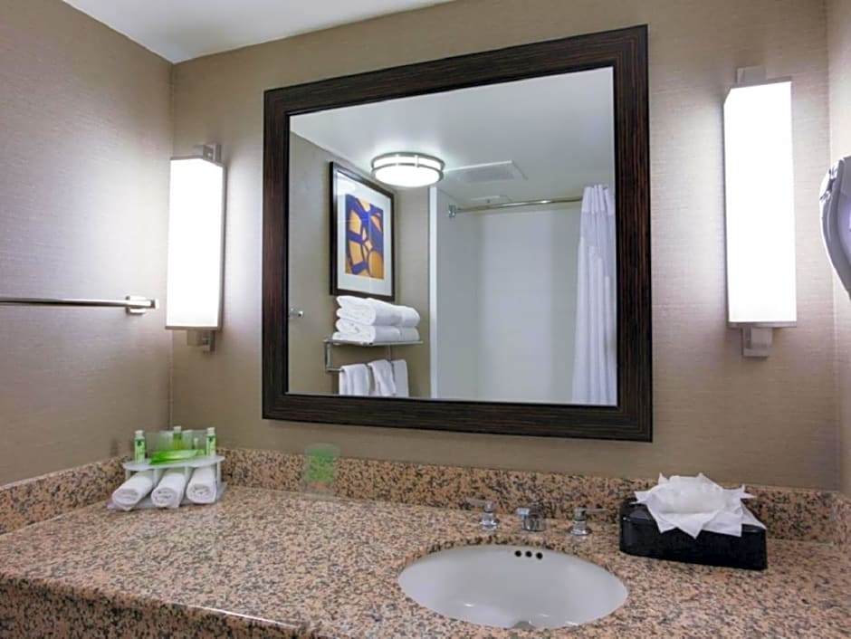 Holiday Inn Express Hotel & Suites Meadowlands Area