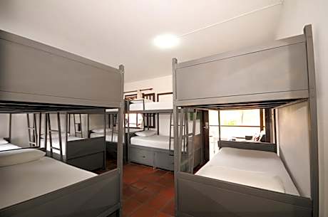 Bunk Bed in Mixed Dormitory Room