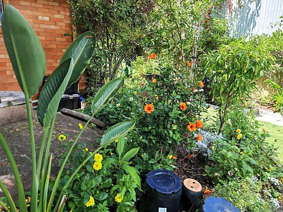 The Bank Guesthouse Glen Innes