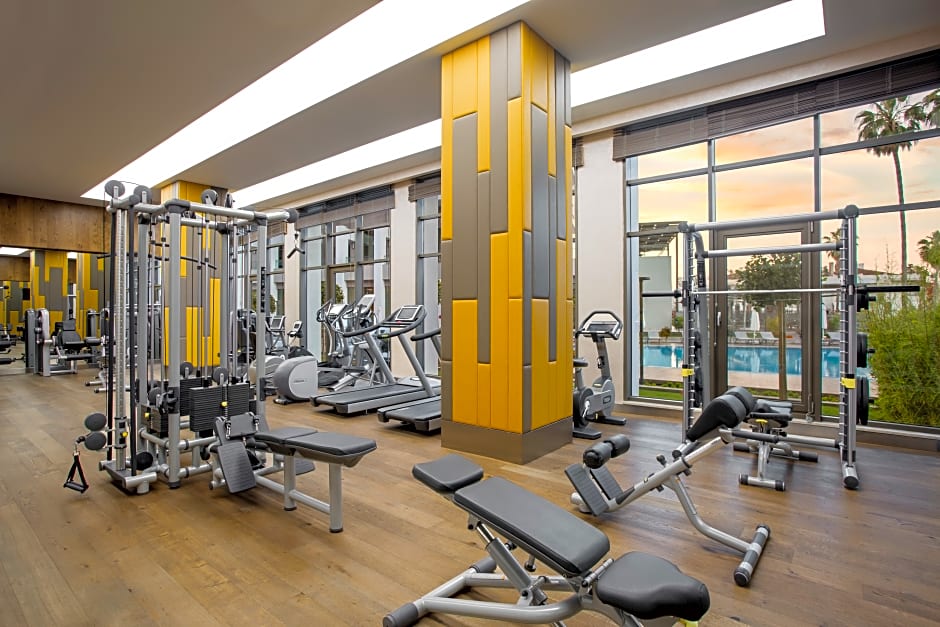 Acanthus and Cennet Barut Collectio