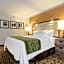 Comfort Inn Raleigh Midtown