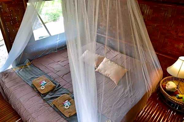 Micky Monkey Beach Hotel Phuket Mai Khao Thailand