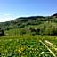 La Ferme de Jean entre lacs et montagnes