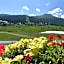 Hotel Silvestri
