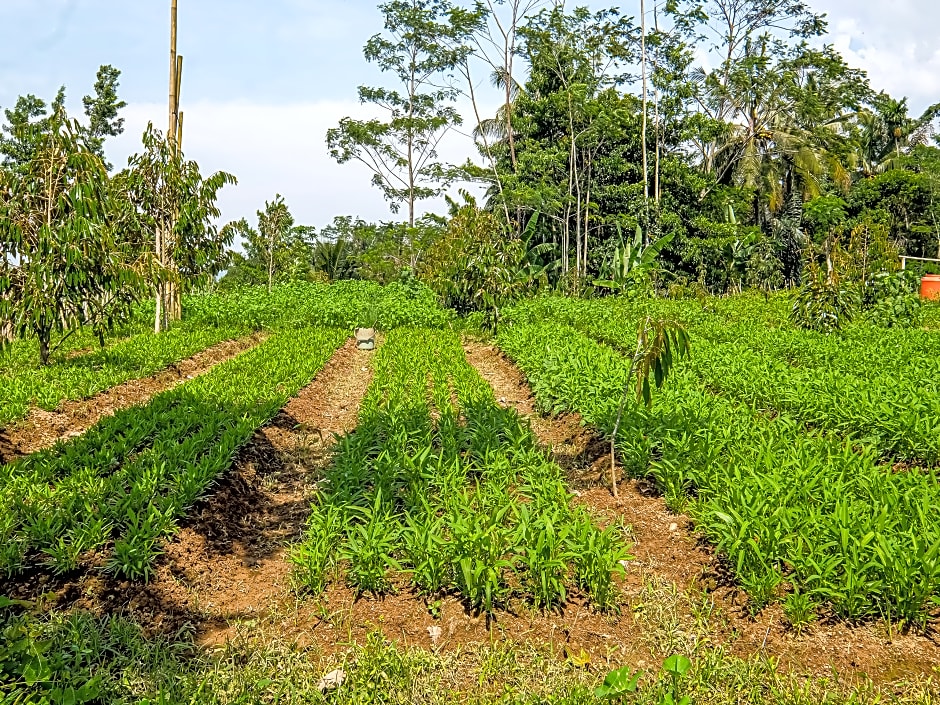 OYO Homes 91067 Desa Wisata Santanamekar