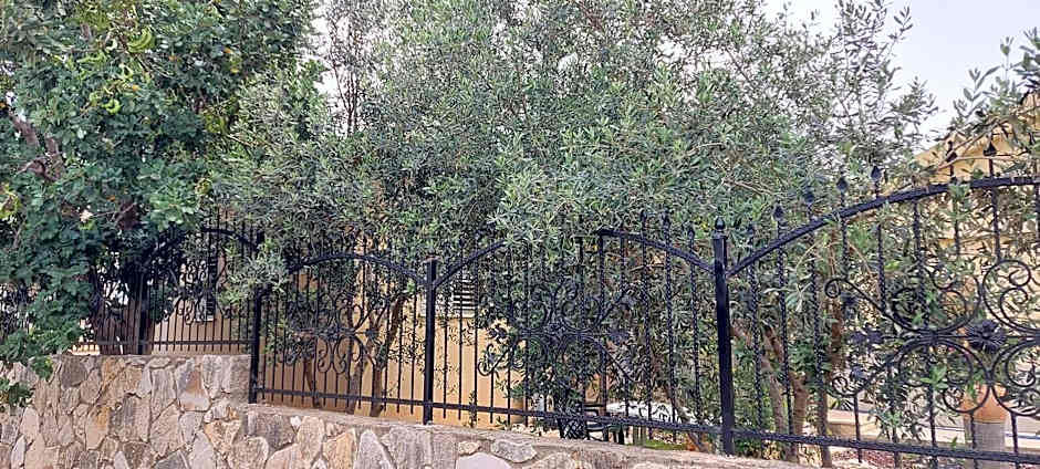 צימרים בצפון-Amores