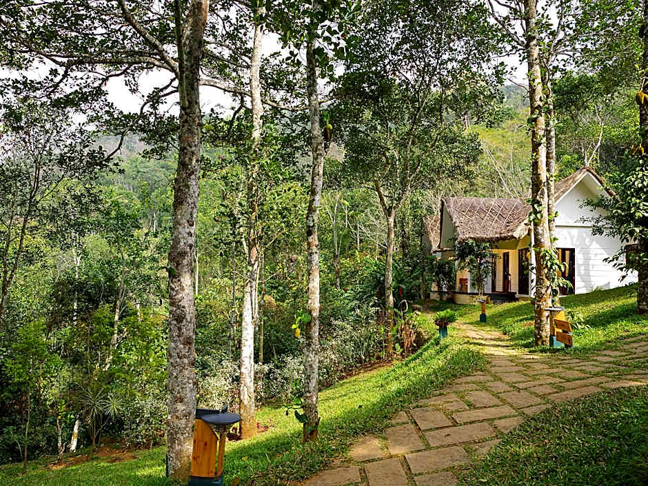 Niraamaya Retreats Cardamom Club