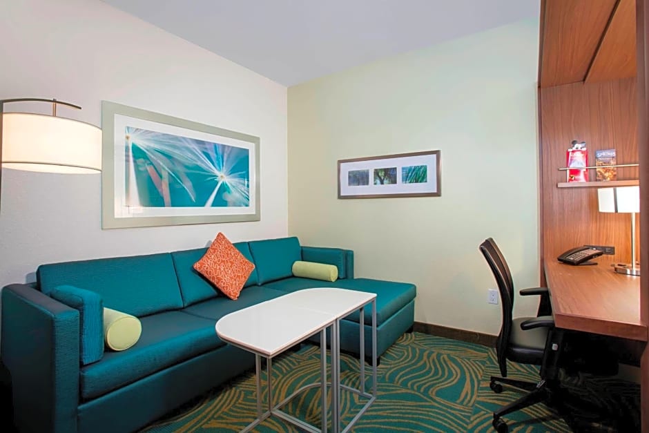 SpringHill Suites by Marriott Orlando at FLAMINGO CROSSINGS Town Center-Western Entrance