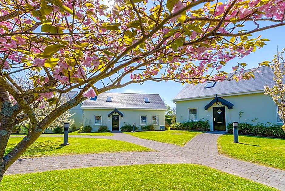 An Capall Dubh B&B Dingle