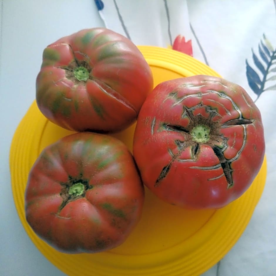 B&b il campanile di leone Pina