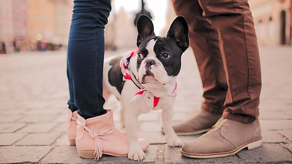 Hotel Indigo Cleveland Beachwood By IHG