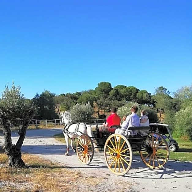 Quinta da Saudade