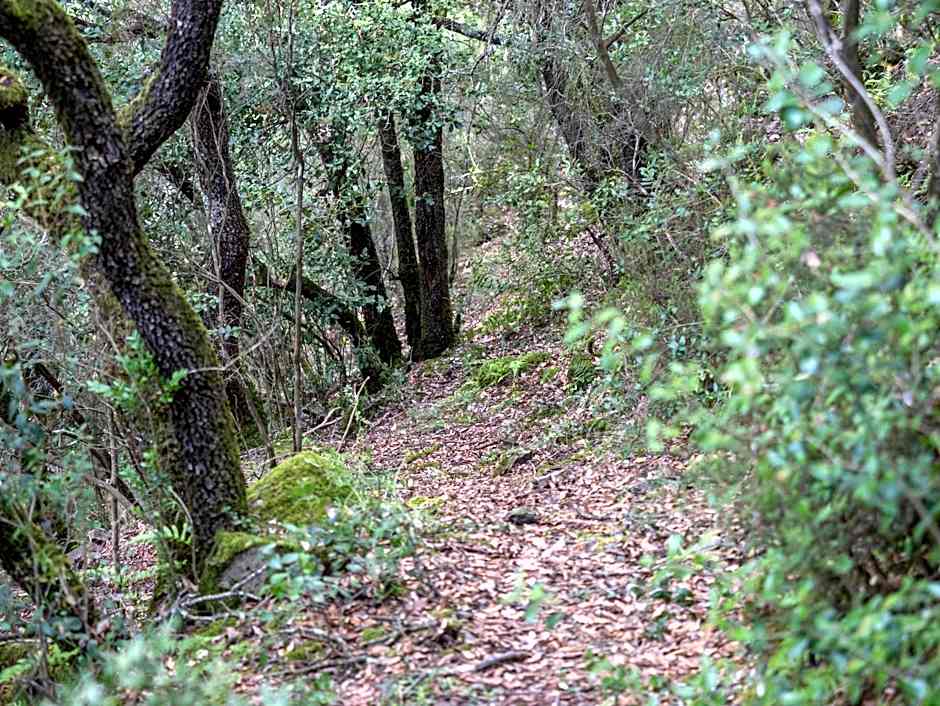 Bed and Breakfast Casanova de Sant Miquel