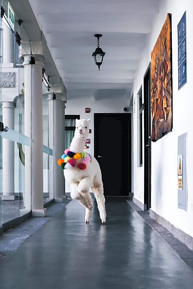 Casa Andina Premium Cusco