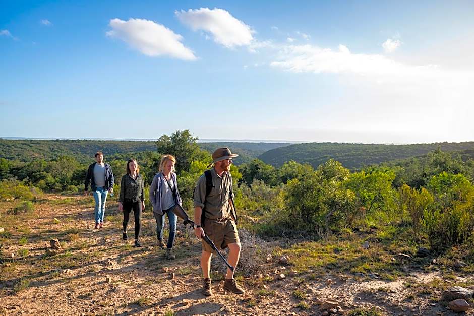 Addo Elephant Safari Lodge - Bellevue Forest Reserve