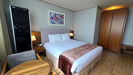 Standard Double City View