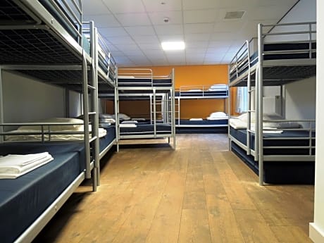 Single Bed in 14-Bed Dormitory Room