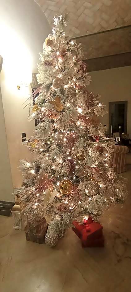 B&B Villa delle Palme