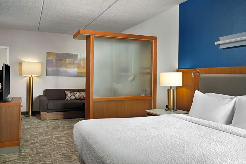 SpringHill Suites by Marriott Pittsburgh Mt. Lebanon