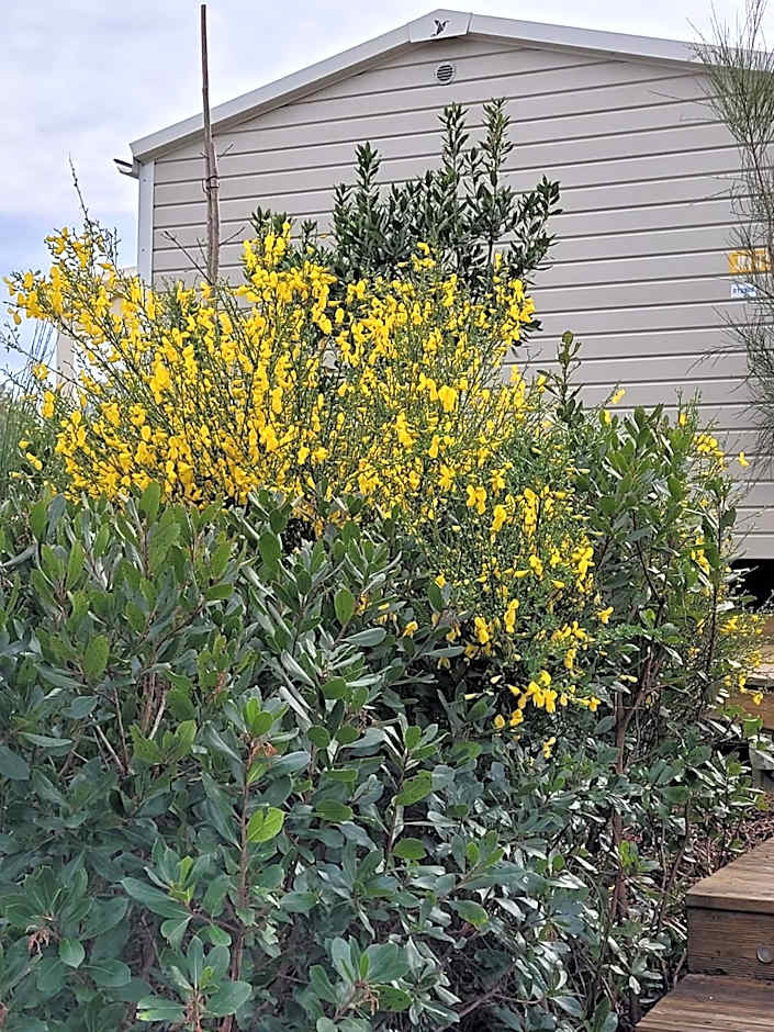 Vue bassin Arcachon mobil-home top 8 personnes by Vayny