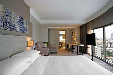 Specialty King Room with Park View and Sofa Bed