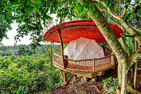 Tent 1 - Valley View