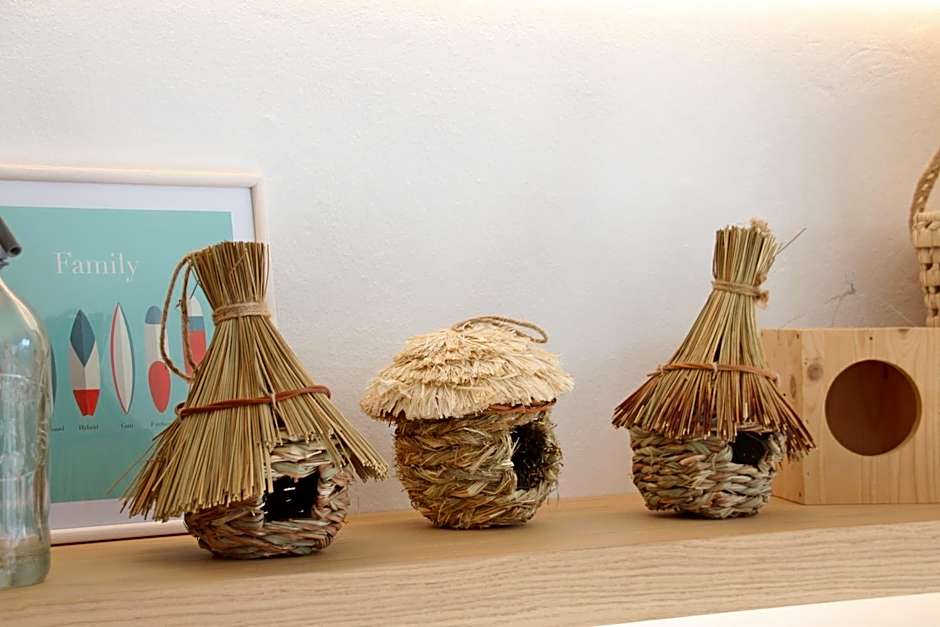 Aparthotel Niu d´Aus