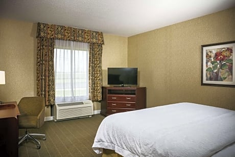 1 King Bed Nonsmoking
