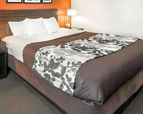 1 King Bed, Nonsmoking