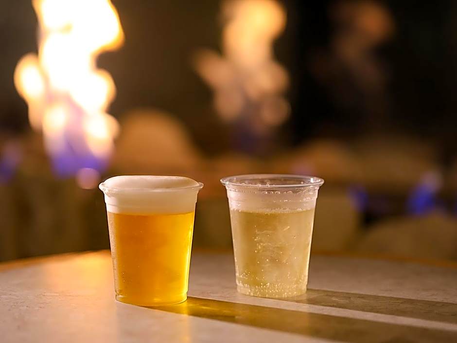 Ooedo Onsen Monogatari Premium Atami